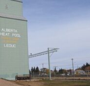 Leduc